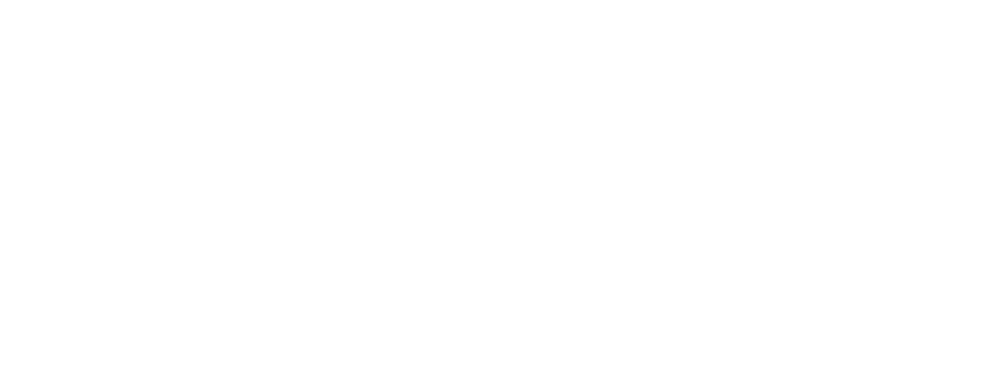 V-Plus